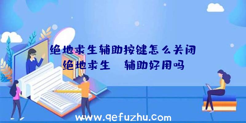 「绝地求生辅助按键怎么关闭」|绝地求生ez辅助好用吗